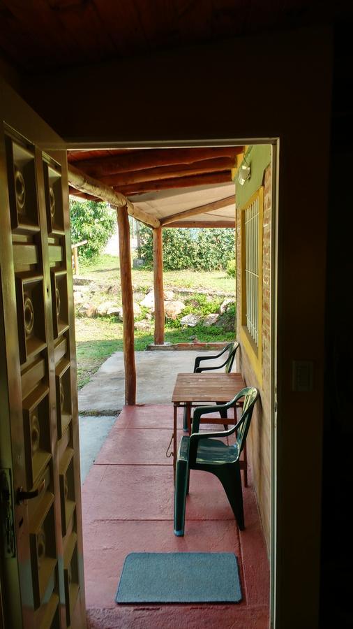 Cabañas Cangas de Onis Villa Icho Cruz Exterior foto